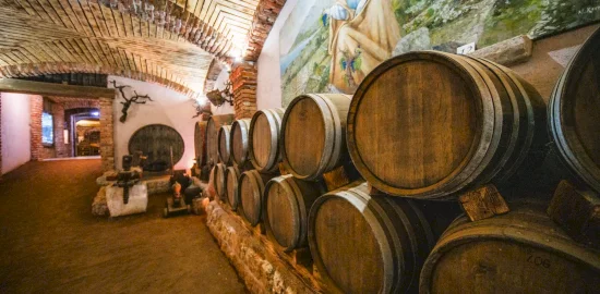 vinarija_vinetasting_hrvatska_najbolja_vina