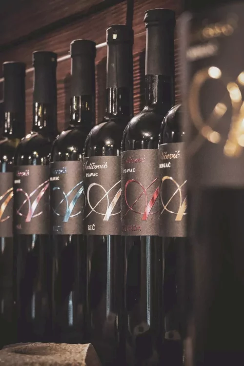 vinska-tura-peljesac