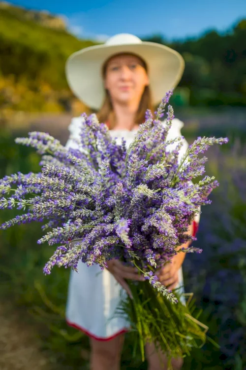 hvar-lavander-excursion