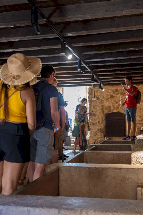 krka-national-park-wooden-path