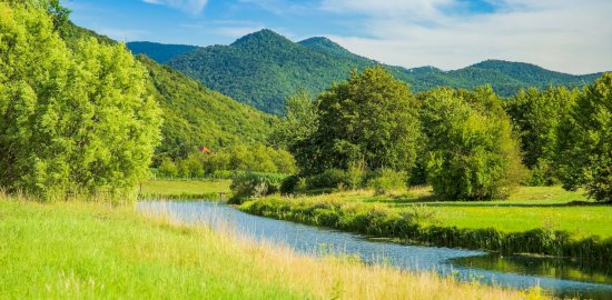 fest_and_event_home_page9