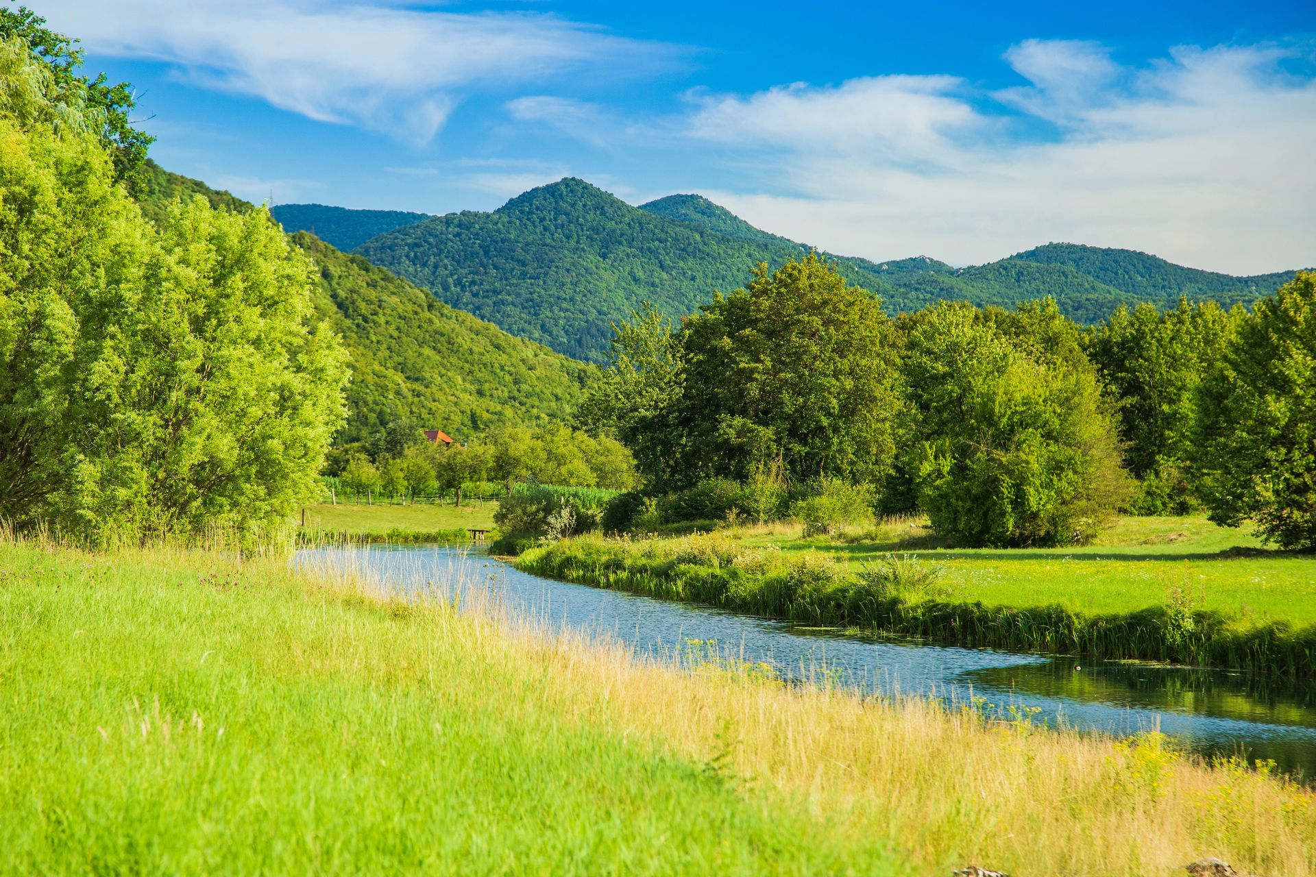 fest_and_event_home_page9