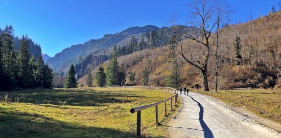 mountains-6796162_1920